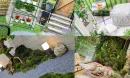 Evde Mini Bahçe: Doğayı İç Mekâna Taşımanın Keyfi