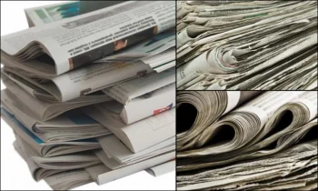 Merak Ettiklerinizi Anında Öğrenin