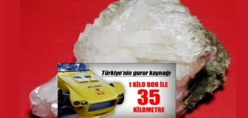 Otomotiv ve Yakıt Kullanımları