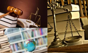 Administrative Law and the Protection of Individual Rights Against Public Power