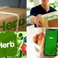iHerb Black Friday İndirim Stratejileri