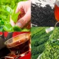 Çay Üretiminin Temel Aşamaları ve Tarım Süreci